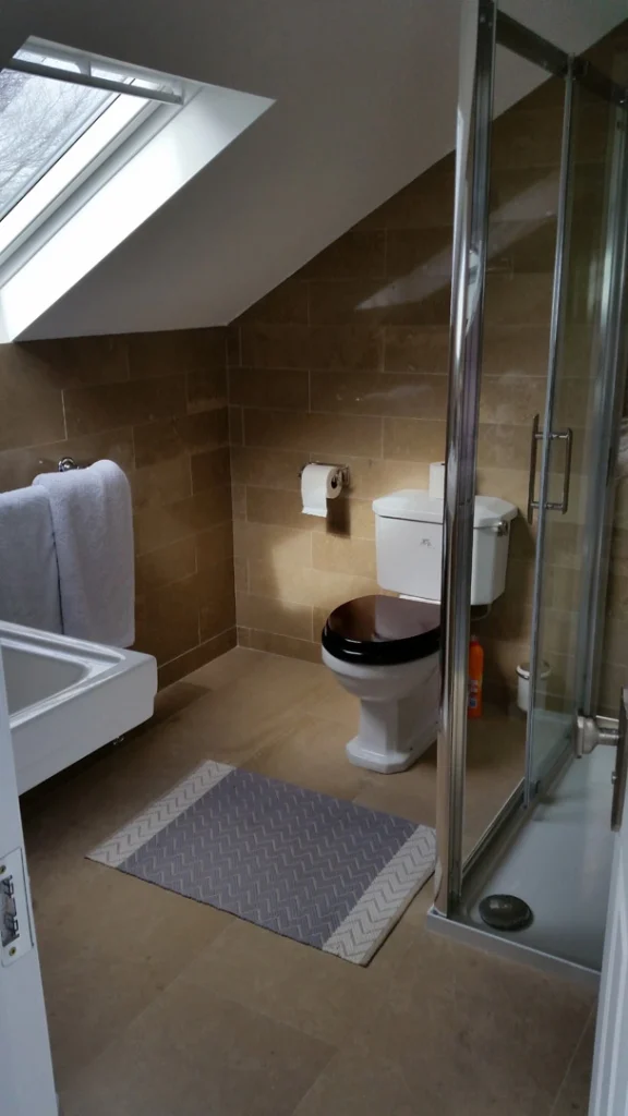 Attic ensuite toilet Dublin Attic ensuite toilet Dublin